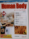 Human Body  68