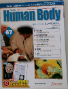 Human Body 67