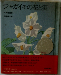 ジャガイモの花と実