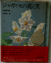 ジャガイモの花と実