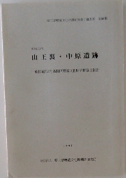山王裏中原遺跡
