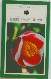 平凡社カラー新書 135　椿
