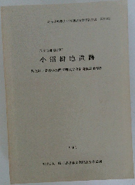 小沼耕地遺跡 埼玉県埋蔵文化財調査事業団報告書 第100集