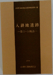 入耕地遺跡一第13地点一