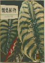 観葉植物