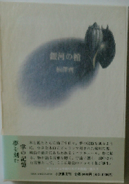 銀河の棺