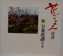 花ごよみ　6　図譜　万葉花譜春・夏