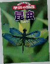 学研の図鑑　昆虫