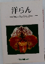 洋らん  The Orchids 2