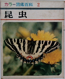 カラー図鑑百科　2　昆虫