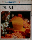 カラー図鑑百科3　魚貝