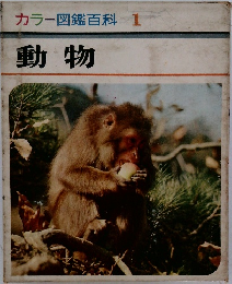 カラー図鑑百科 1  動物