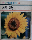 カラー図鑑百科 5 植物