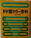 本学習カラー百科　1  国語・英語