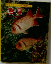 図鑑 わたしたちの科学百科　8　魚・貝