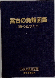 宮古の魚類図鑑(海の主役たち)
