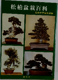 松柏盆栽百科