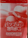 パワプロクン  ポケット11