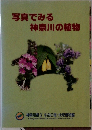 写真でみる神奈川の植物