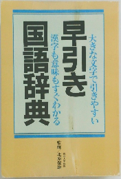 早引き国語辞典