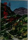 燃える軌道