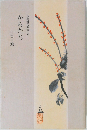 玉藻俳句叢書からたち一宮十鳩