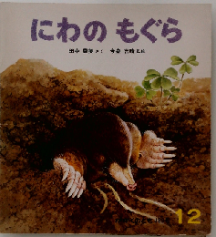 かがくのとも　1984年12月号