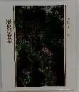 歴史の背景 美しい日本 24