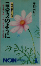 ユッコの贈りもの