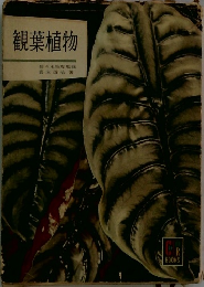 観葉植物