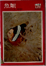 魚類
