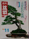近代盆栽　1983年11月号
