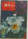 園芸入門  洋ラン