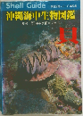 沖縄海中生物図鑑 第5巻 貝