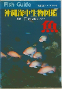 魚　沖縄海中生物図鑑　2