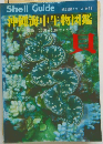沖縄海中生物図鑑　貝　