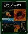 ヒマワリのかんさつ