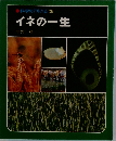科学のアルバム26　イネの一生