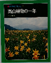 科学のアルバム31　高山植物の一年