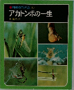 科学のアルバム10　アカトンボの一生