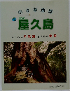 屋久島  屋久島の不思議 屋久杉の秘密
