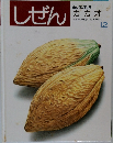 しぜん　カカオ　平成4年12月1日発行