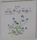深沢紅子野の花美術館