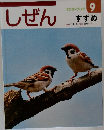 キンダーブック 9　しぜん すずめ