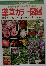 薬草カラー図鑑