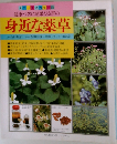 健康づくりに効果も抜群の身近な薬草