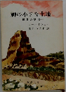 神の小さな土地  眞書の欲情　