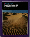 砂漠の世界