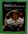 科学のアルバム  昆虫のふしぎ 色と形のひみつ