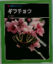 科学のアルバム  ギフチョウ